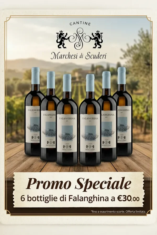 Promo Falanghina IGT x6
